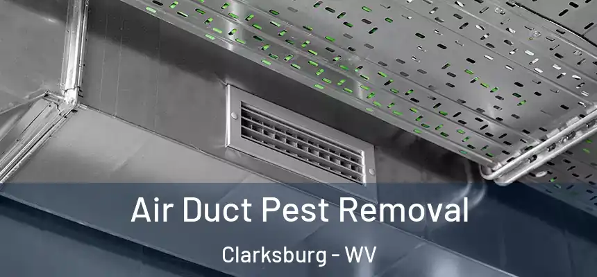Air Duct Pest Removal Clarksburg - WV