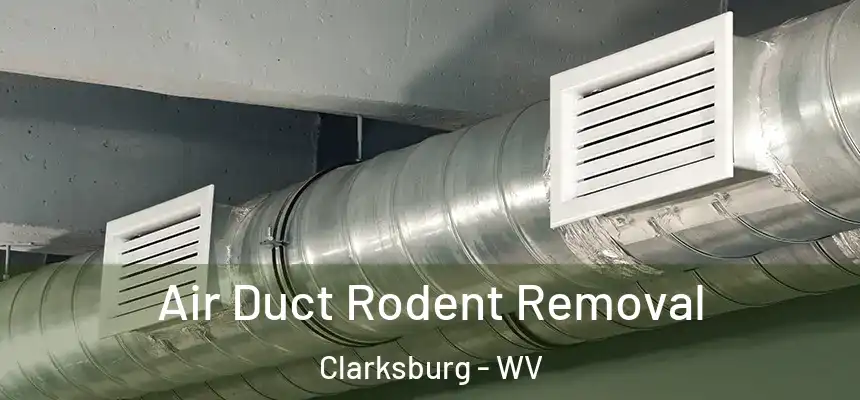 Air Duct Rodent Removal Clarksburg - WV
