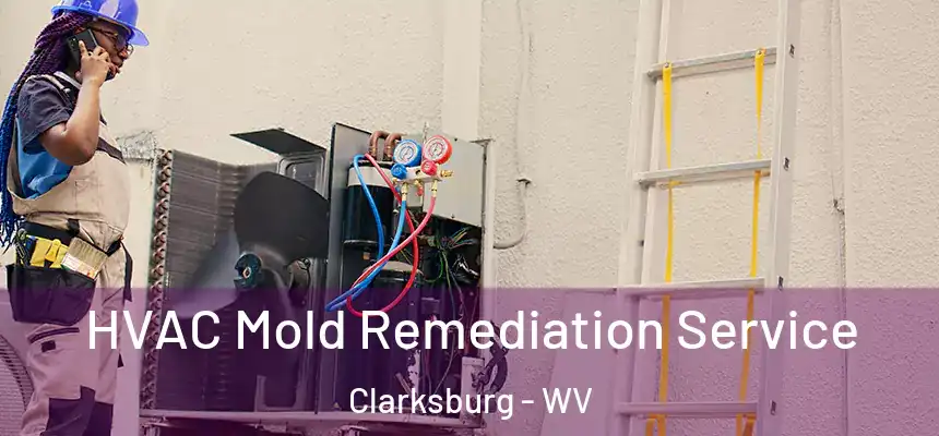 HVAC Mold Remediation Service Clarksburg - WV