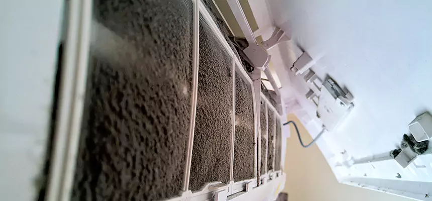 Preventive Air Duct Bacteria Removal in Clarksburg