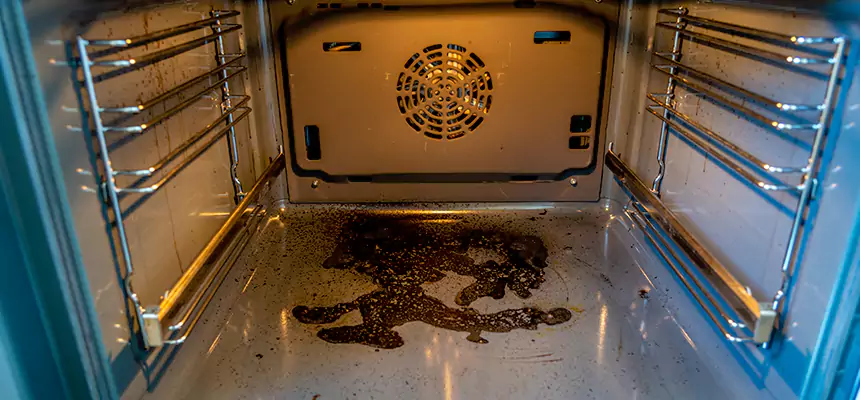 Our Dryer Vent Mold Cleaning Services in Clarksburg, WV