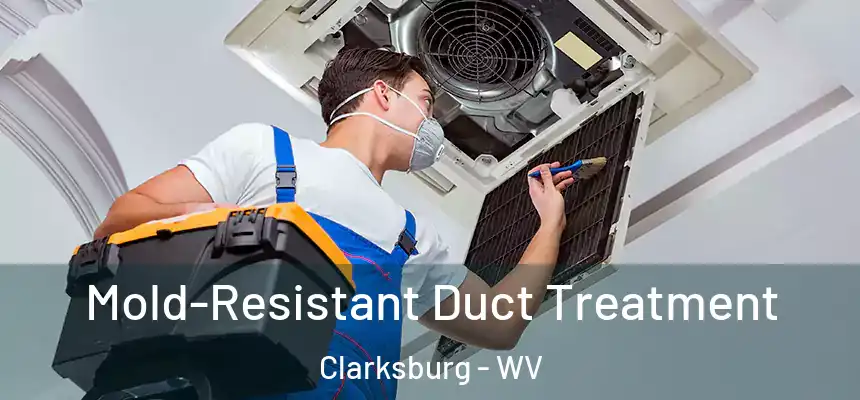  Mold-Resistant Duct Treatment Clarksburg - WV