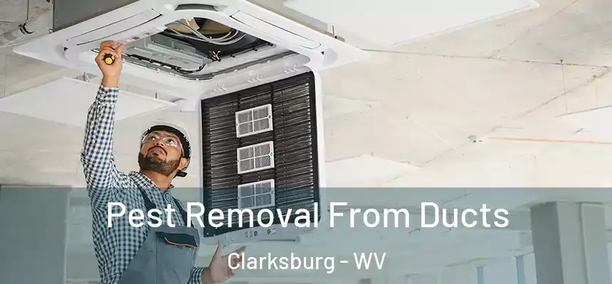 Pest Removal From Ducts Clarksburg - WV
