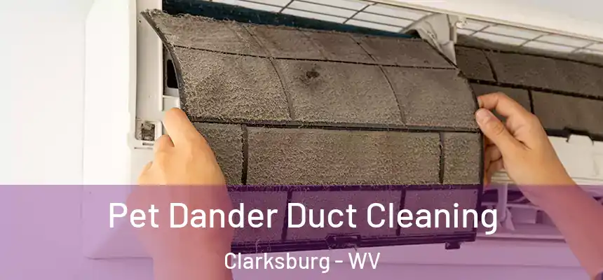Pet Dander Duct Cleaning Clarksburg - WV