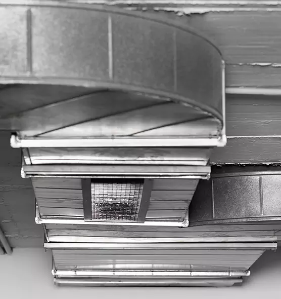 Professional Air Duct Pet Hair Removal in Clarksburg, WV