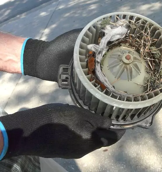 About Air Duct Rat Removal in Clarksburg, WV