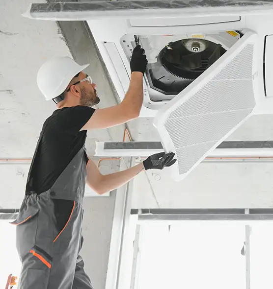 About Air Duct Rodent Removal in Clarksburg, WV